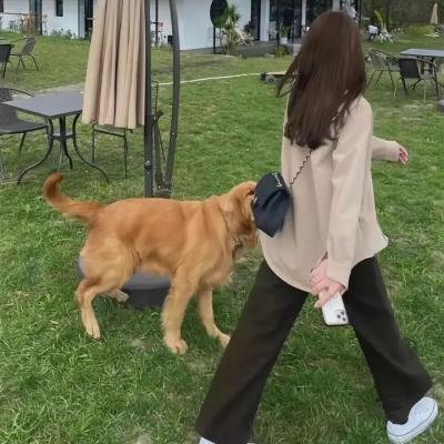 社内相亲